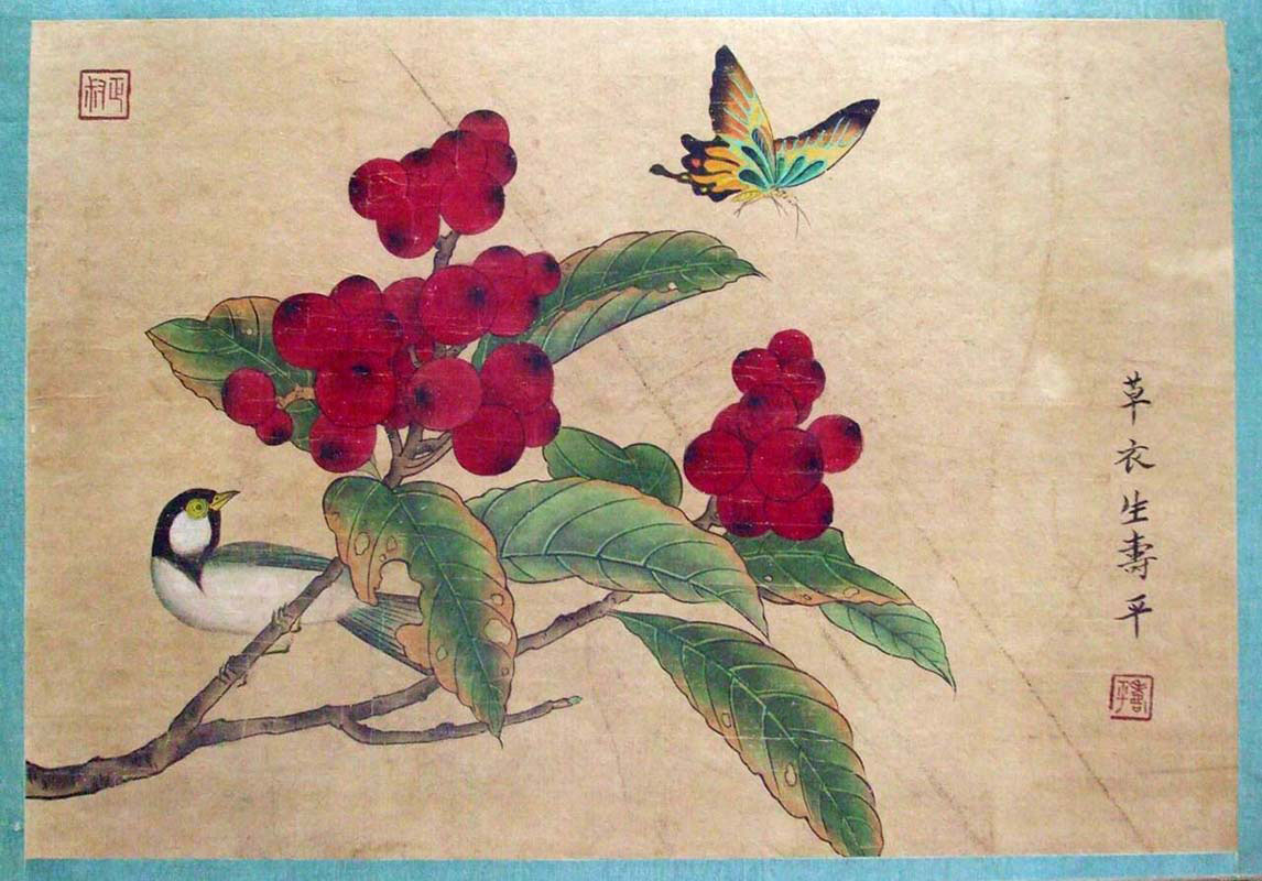 Flowers and Insect